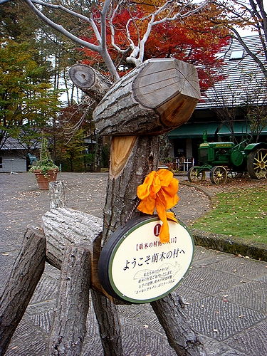 a0074033_811132.jpg