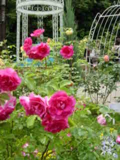 c0025033_20221452.jpg