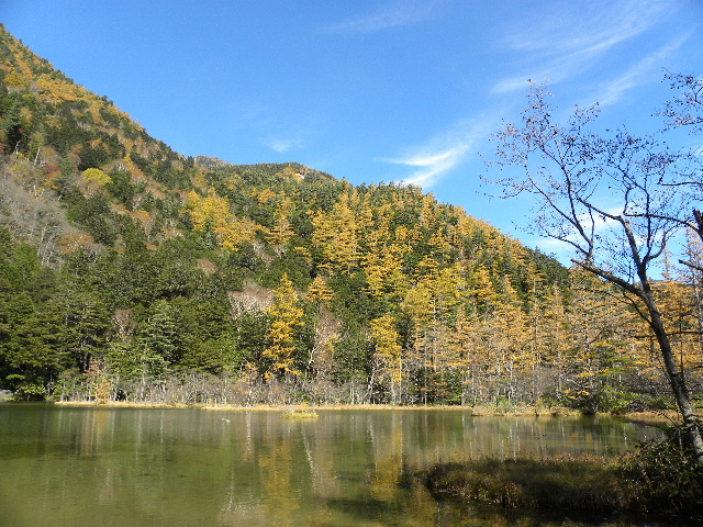 c0000134_17471690.jpg