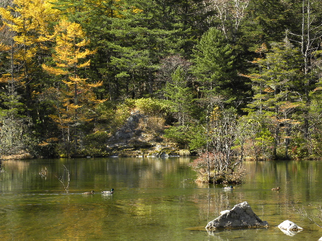 c0000134_1749364.jpg