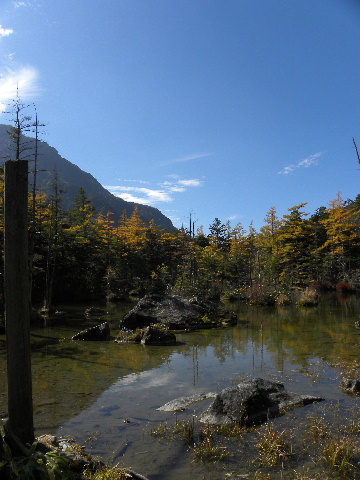 c0000134_1749486.jpg