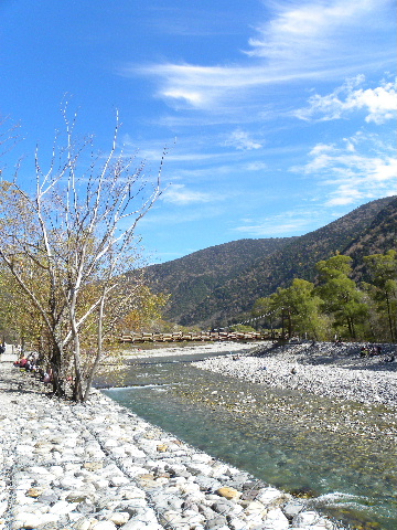 c0000134_1750121.jpg