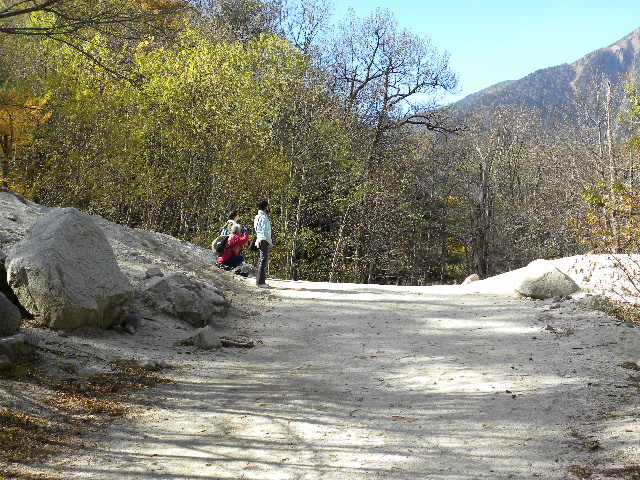 c0000134_1751621.jpg