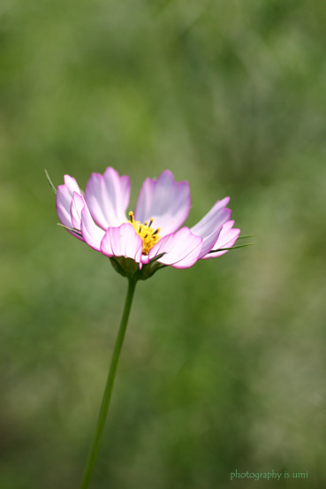 e0083238_23403320.jpg