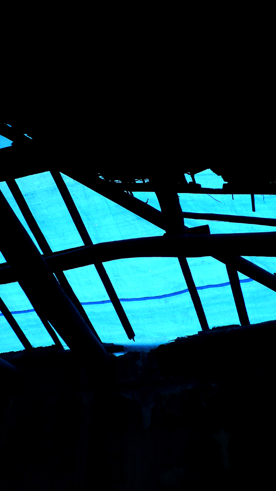 a0134839_2155015.jpg