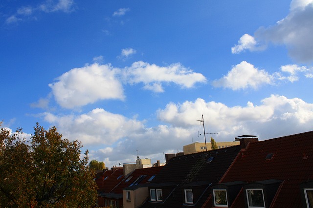 c0153740_19405781.jpg