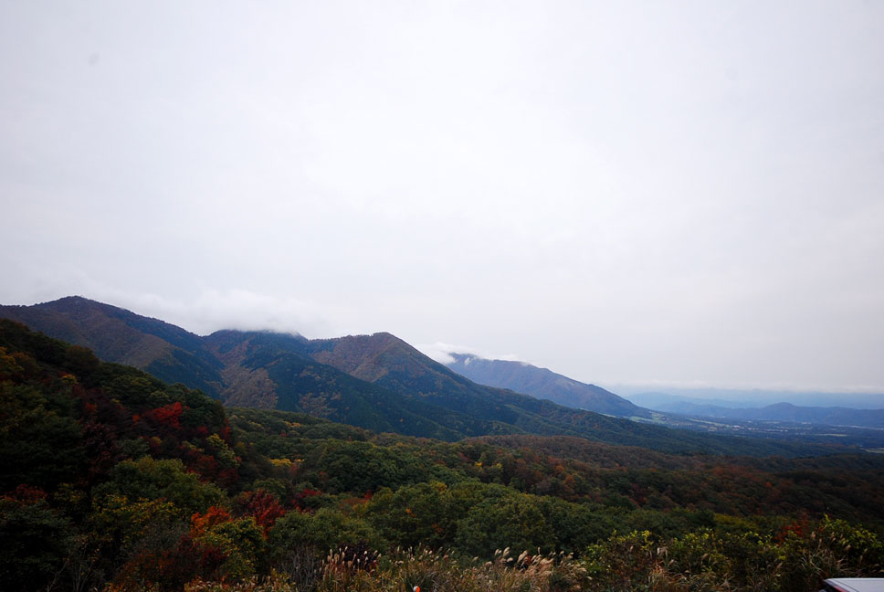 b0075541_2356209.jpg