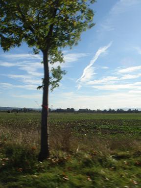 f0194446_35379.jpg