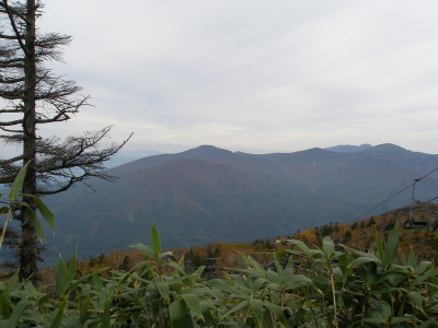 c0037553_190358.jpg