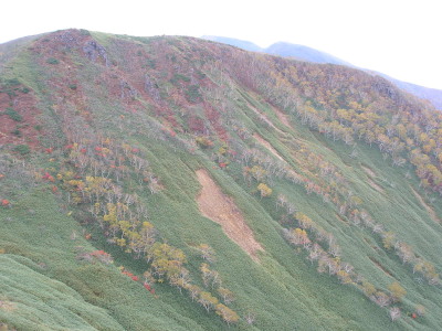 c0037553_1904554.jpg