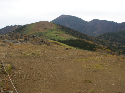c0037553_1911489.jpg