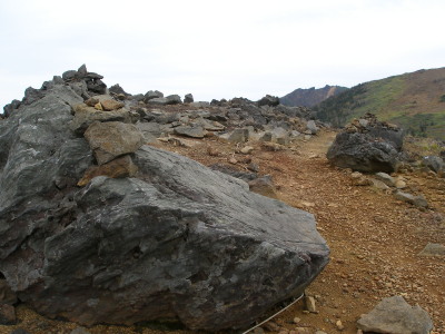 c0037553_1925086.jpg
