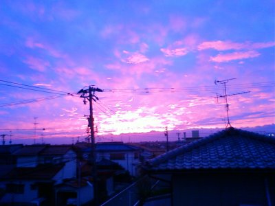 d0025555_23564546.jpg