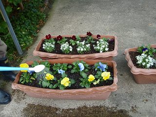 f0062462_20595634.jpg