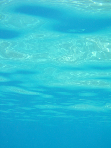 b0062363_9114454.jpg