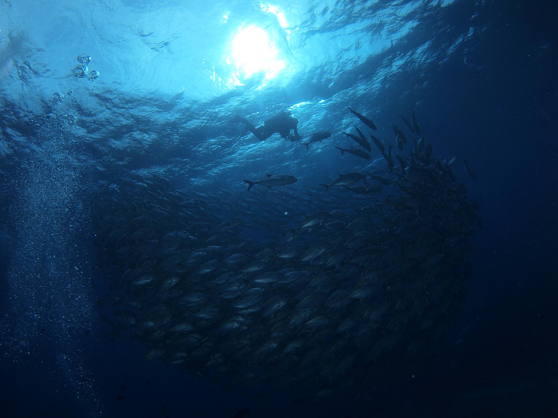 b0138768_2242752.jpg