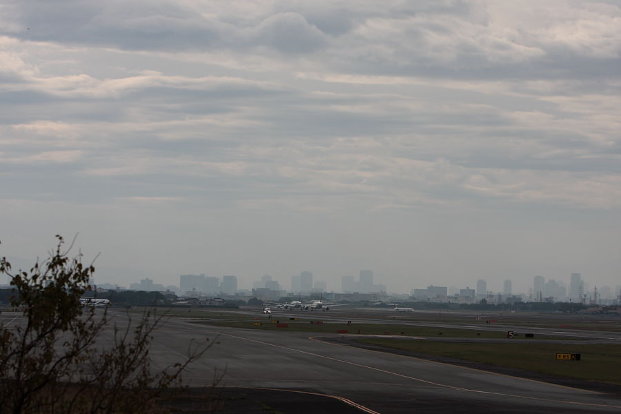 a0117972_20472813.jpg