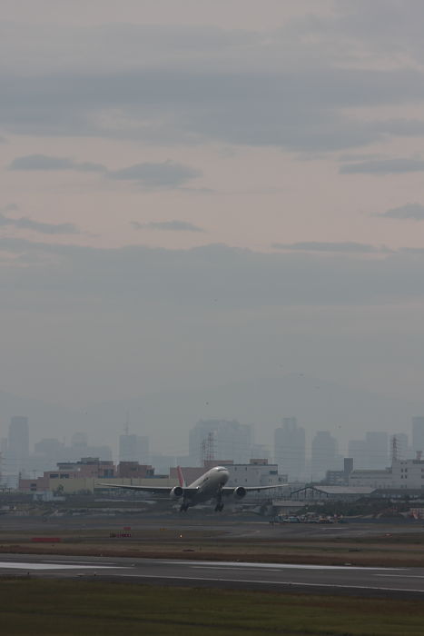 a0117972_20504160.jpg