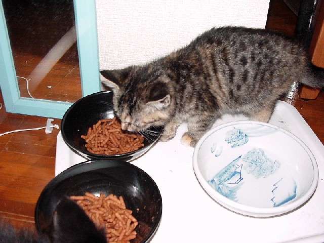 e0031572_836684.jpg