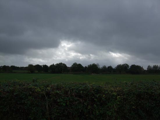 f0080372_3472921.jpg