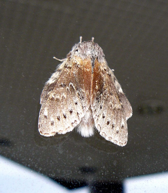 d0019074_13382977.jpg