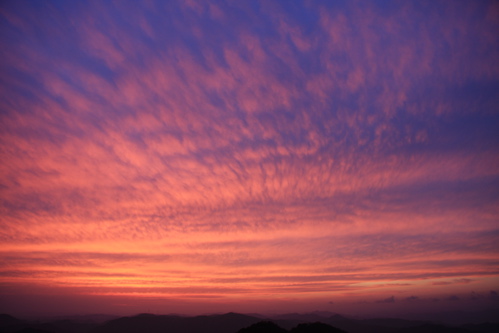 c0151875_15545791.jpg