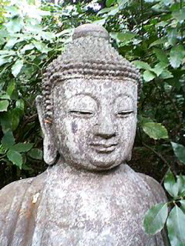f0054677_8165922.jpg