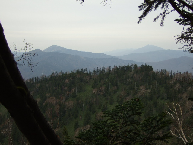 a0094280_11413878.jpg