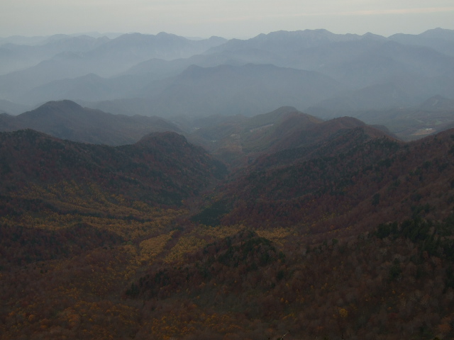 a0094280_1141564.jpg