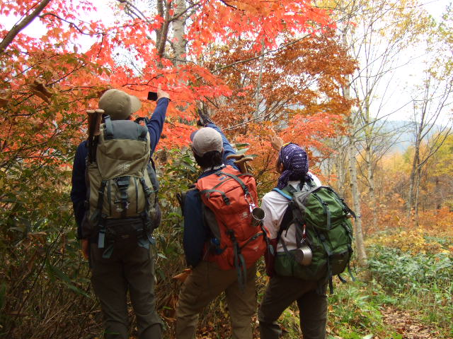 a0094280_11424790.jpg