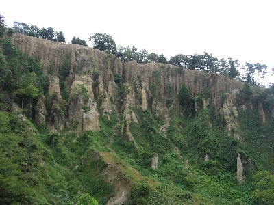 f0003283_21262576.jpg