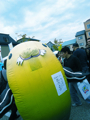 c0207189_3555417.jpg