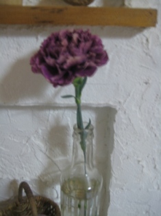 c0121291_5415168.jpg