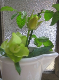 c0121291_541874.jpg