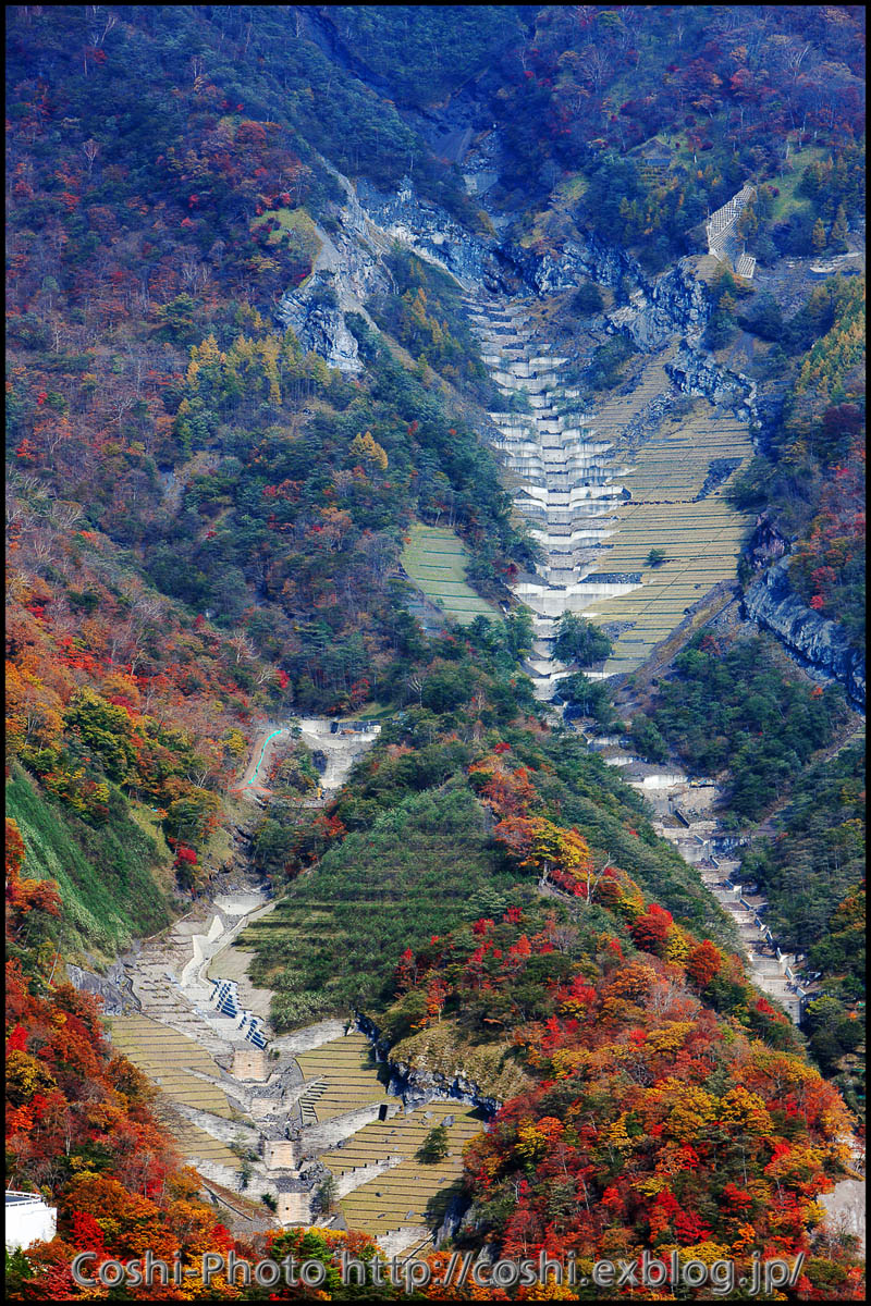 a0110096_13384368.jpg