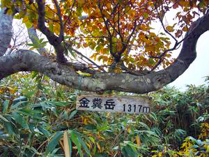 a0097298_11402372.jpg