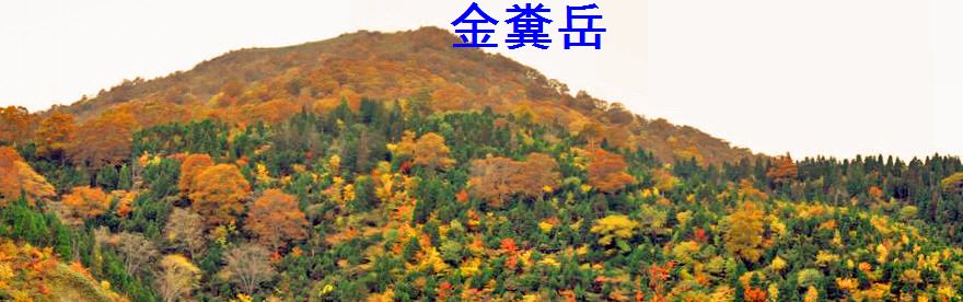 a0097298_11462621.jpg