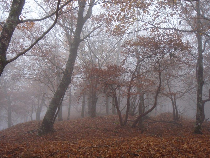 b0039898_15545760.jpg