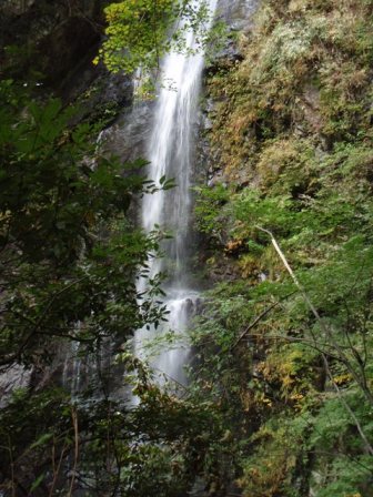 b0039898_1558421.jpg