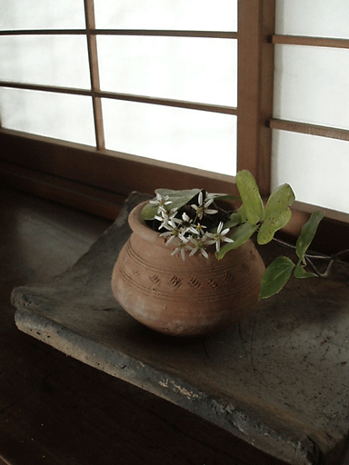 c0129702_10211215.gif