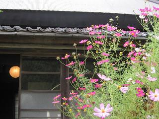 e0119003_2331787.jpg