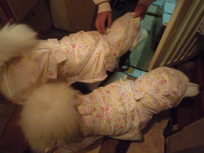 e0018604_10331462.gif
