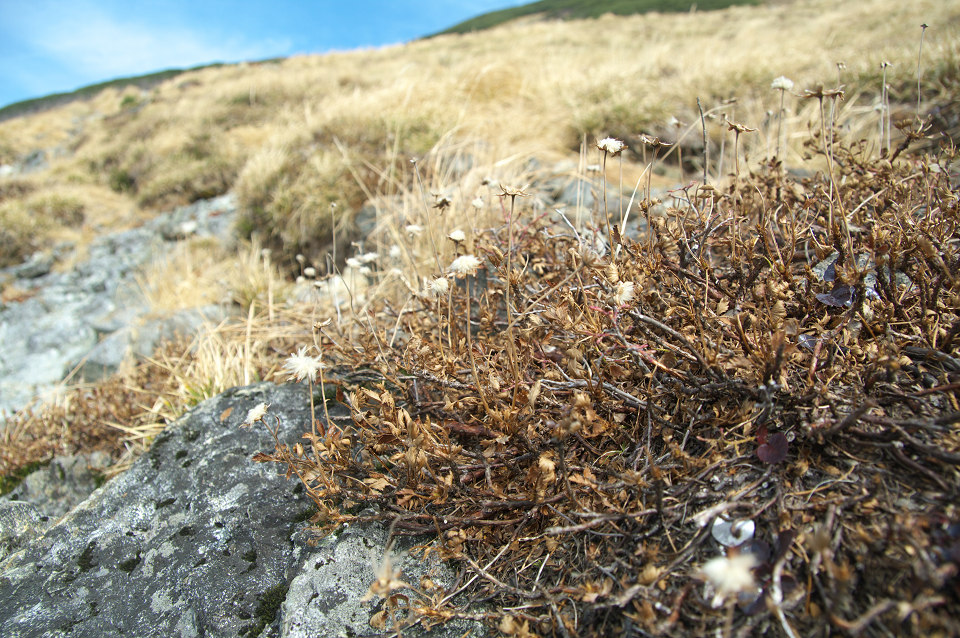 e0162105_2110454.jpg