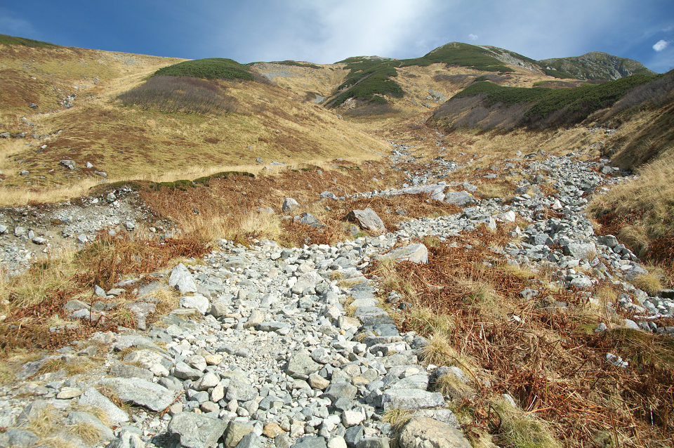 e0162105_2110477.jpg