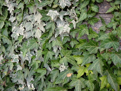 f0041606_205119.jpg