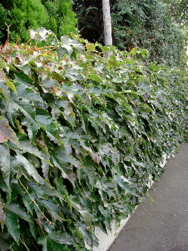 f0041606_21543673.jpg