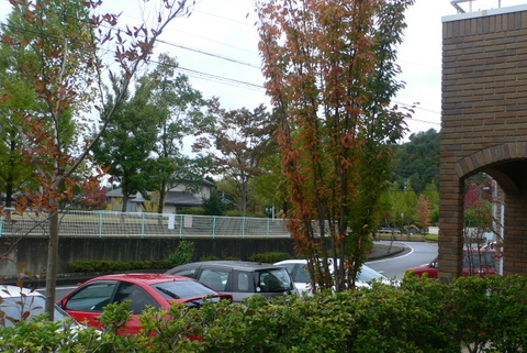 f0167007_118391.jpg