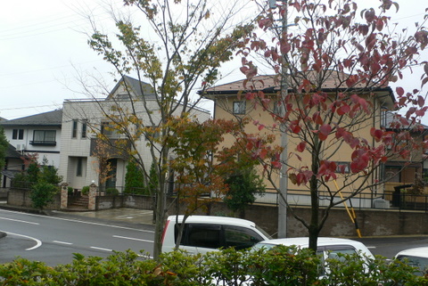 f0167007_118682.jpg