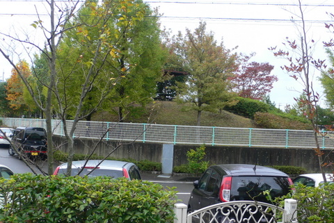 f0167007_1925533.jpg