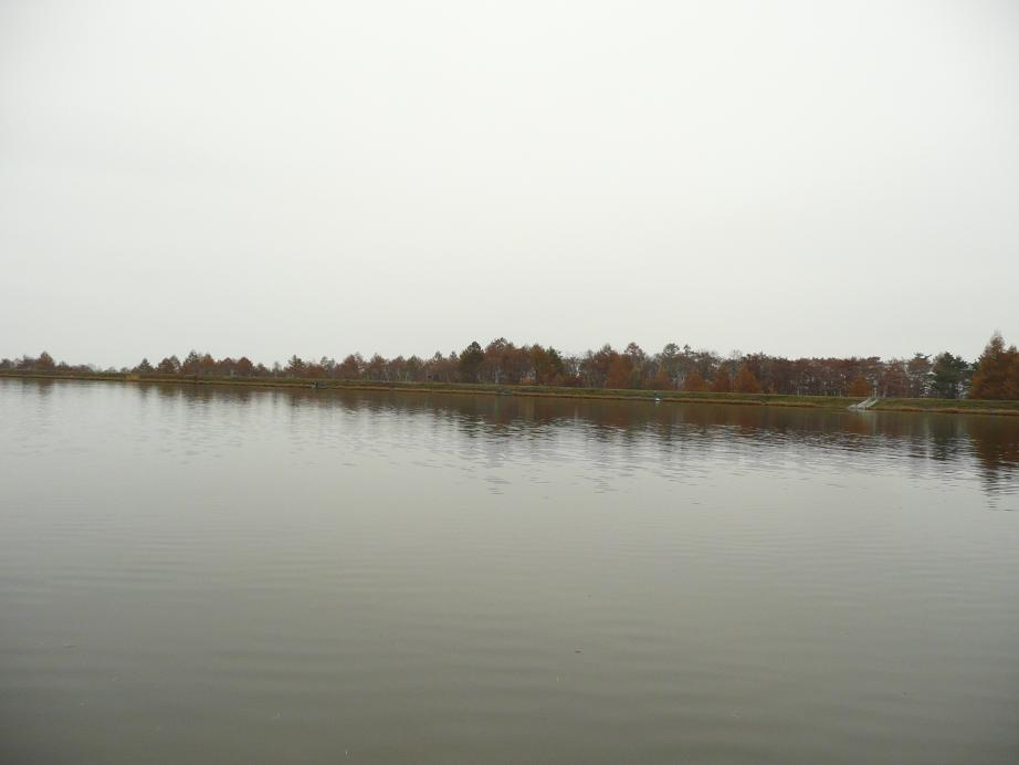 d0126708_18432132.jpg